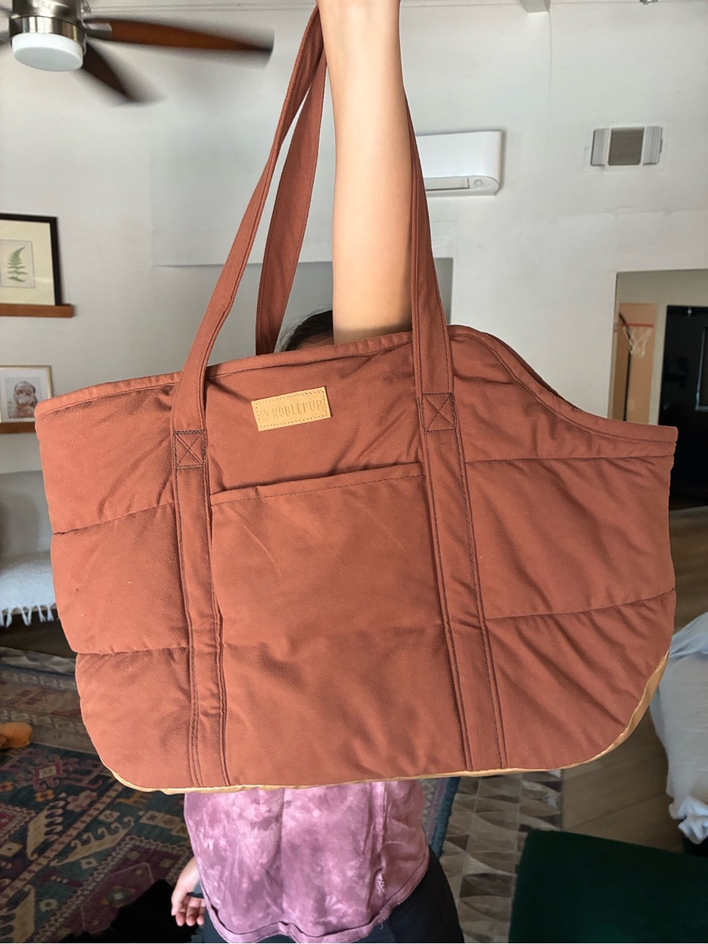 Cute dog carrier bag